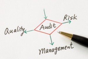 Diagram linking risk and auditing